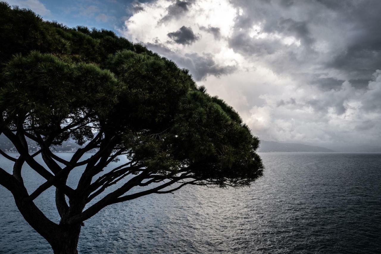 Hotel Blu Di Te Santa Margherita Ligure Dış mekan fotoğraf